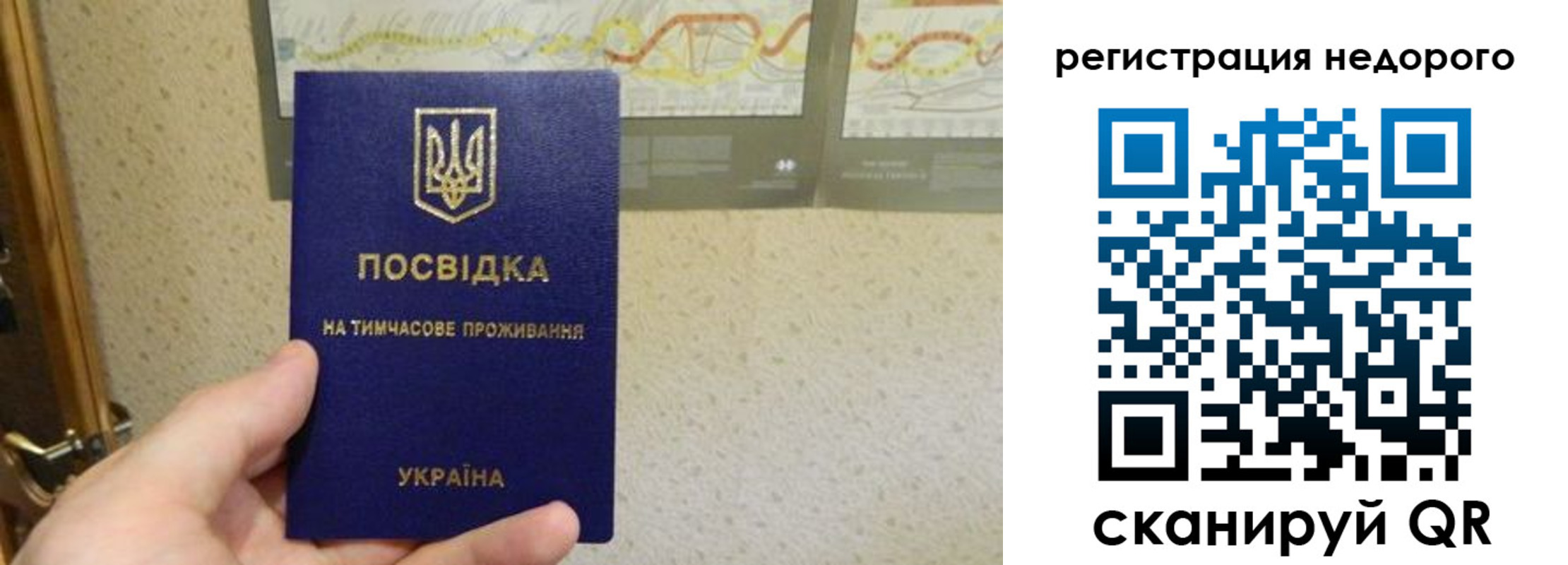 прописка для работы в Жердевке